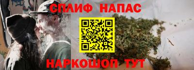 a pvp Свободный