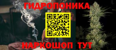a pvp Свободный