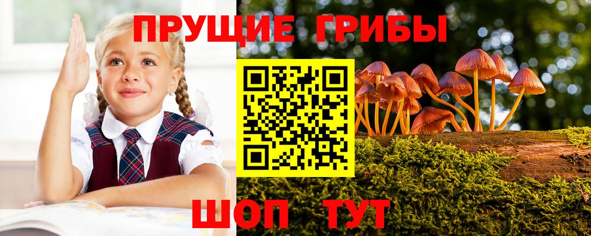 Псилоцибиновые грибы MAGIC MUSHROOMS  Вход с VPN  Сорочинск 